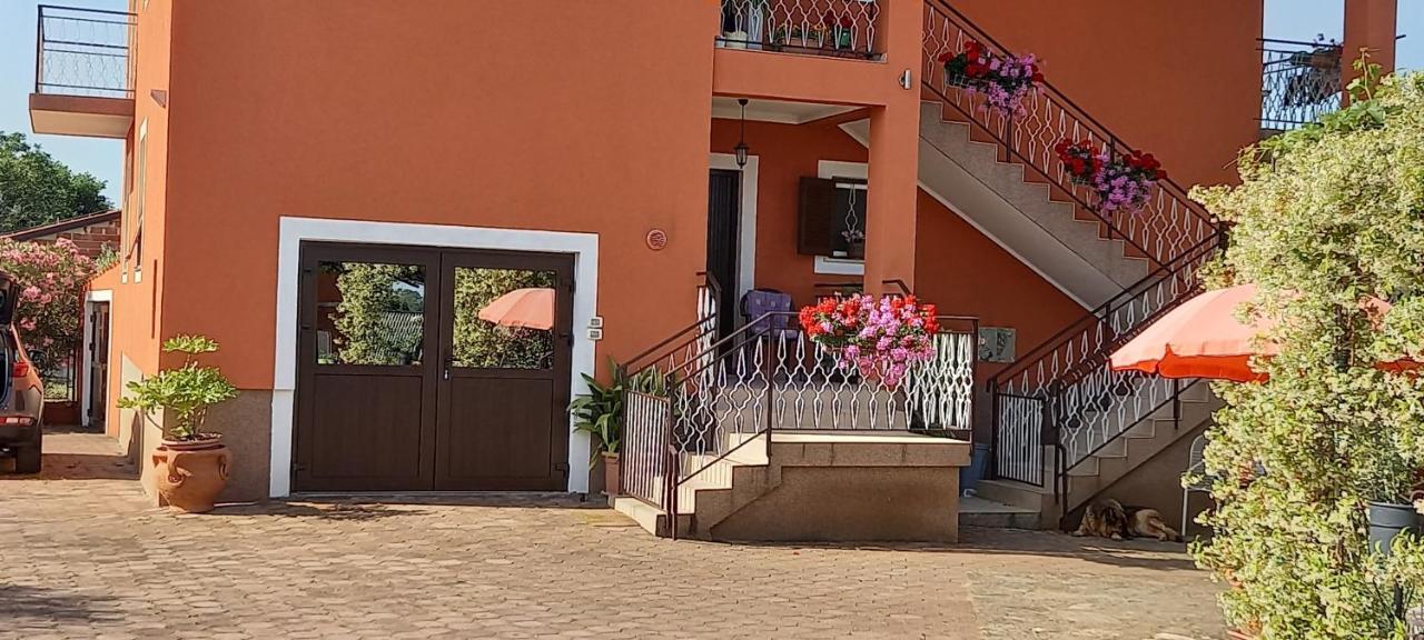 Apartment Parenzana Bibali 65 A 52460-בוג'ה מראה חיצוני תמונה